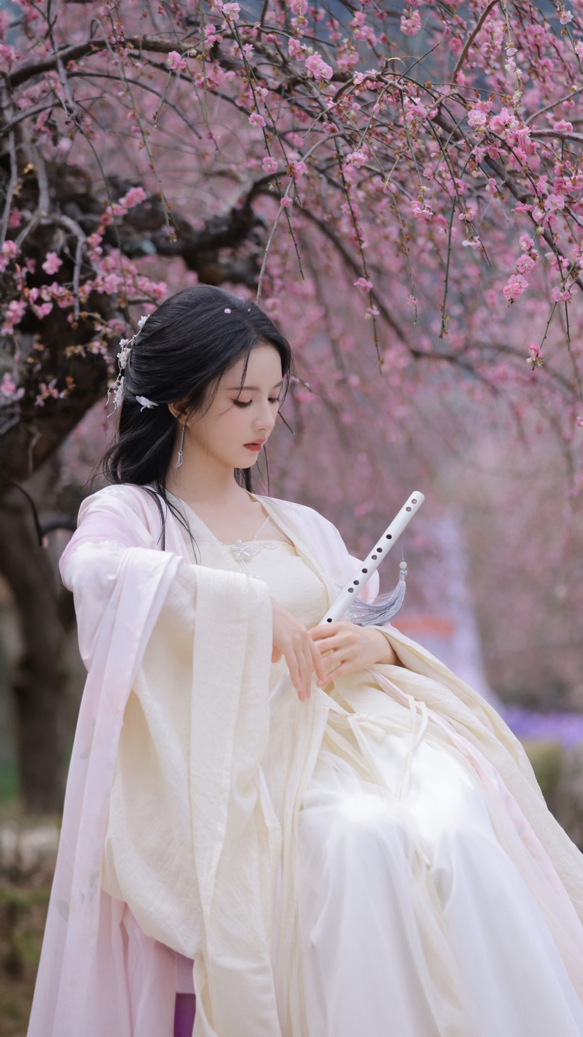 古风美女 樱花 刘些宁 4K高清手机壁纸图片