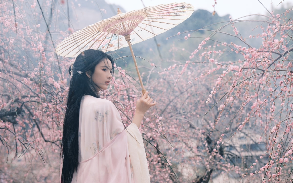 刘些宁 古风服美女 油纸伞 樱花 4K壁纸